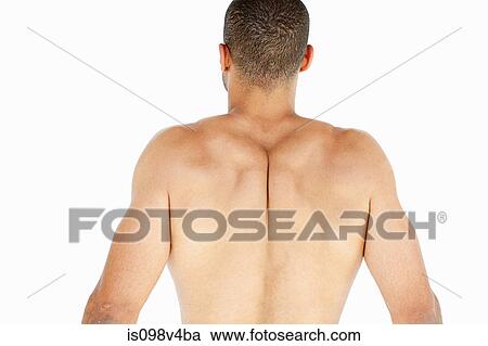 Stock Image - Rear view of man's back. Fotosearch