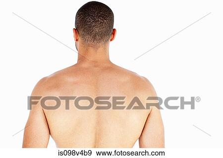 Rear view of man's back View Large Photo Image Stock Photo - Rear view of man's back. Fotosearch