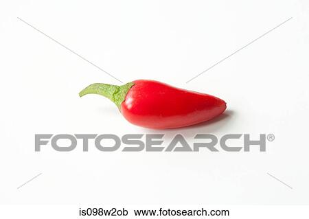 Red chilli pepper on white background View Large Photo Image Stock Image - Red chilli pepper on white background. Fotosearch
