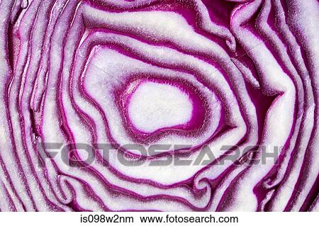 Picture - Sliced red cabbage, close up. Fotosearch