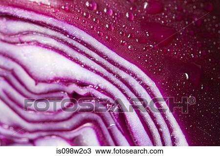Stock Image - Sliced red cabbage, close up. Fotosearch