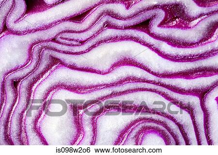 Sliced red cabbage, close up View Large Photo Image Stock Photograph - Sliced red cabbage, close up. Fotosearch