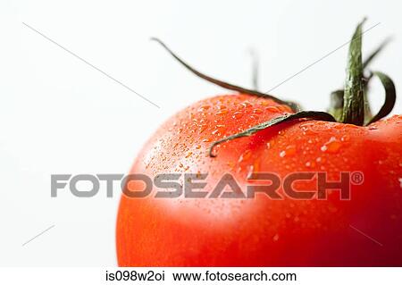 Stock Image - Tomato on white background. Fotosearch