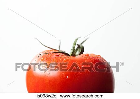 Tomato on white background View Large Photo Image Stock Image - Tomato on white background. Fotosearch