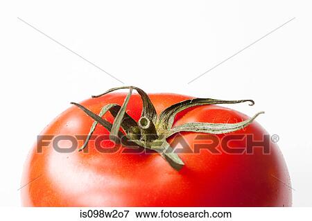 Tomato on white background View Large Photo Image Stock Photo - Tomato on white background. Fotosearch