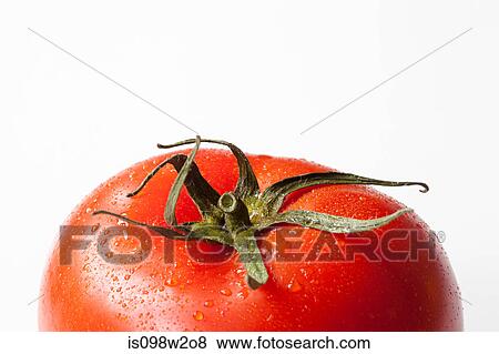 Tomato on white background View Large Photo Image Stock Photo - Tomato on white background. Fotosearch