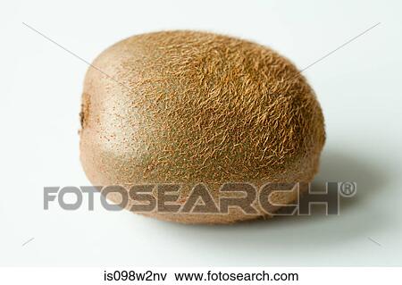 Whole kiwi on white background View Large Photo Image Stock Photo - Whole kiwi on white background. Fotosearch