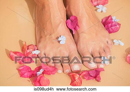 Woman with flowers at her feet View Large Photo Image Stock Image - Woman with flowers at her feet. Fotosearch