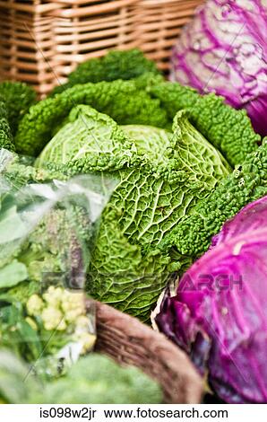 Fresh cabbage at farmer's market View Large Photo Image Stock Photography - Fresh cabbage at farmer's market. Fotosearch