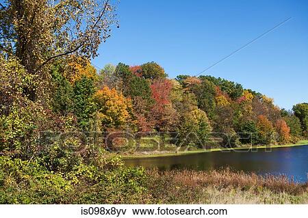 Lake and forest View Large Photo Image Stock Photo - Lake and forest. Fotosearch