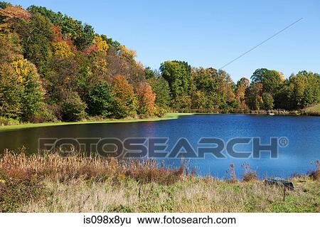 Stock Photograph - Lake and forest. Fotosearch