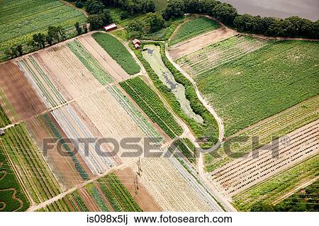 Stock Image - Patterns in fields. Fotosearch