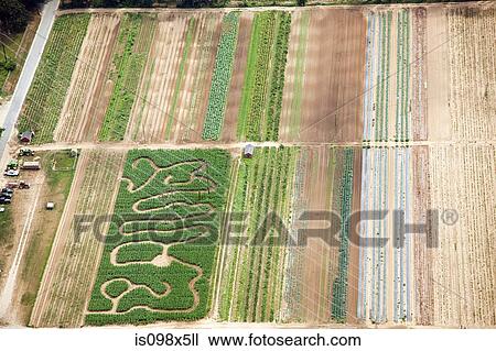 Stock Image - Patterns in fields. Fotosearch