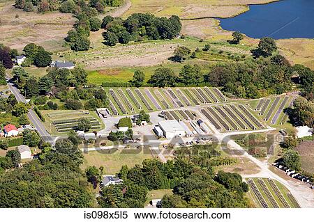 Stock Photography - Polytunnels, Newport County, Rhode Island, USA. Fotosearch