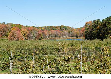 Rural scene View Large Photo Image Stock Photography - Rural scene. Fotosearch