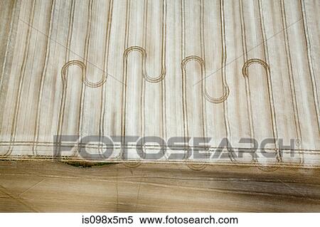 Wavy line patterns in field View Large Photo Image Stock Photography - Wavy line patterns in field. Fotosearch