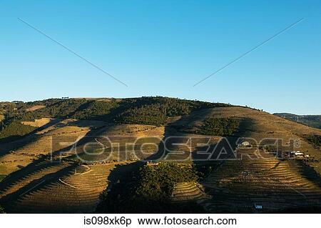 Douro Valley, Portugal View Large Photo Image Stock Photography - Douro Valley, Portugal. Fotosearch