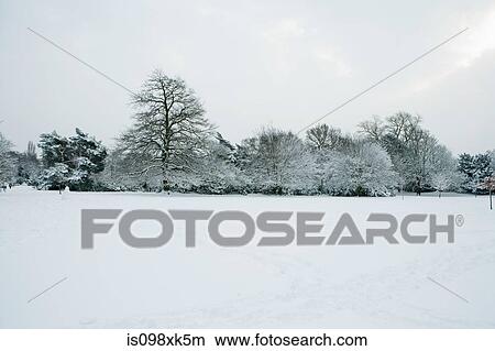 Snowfall in park, UK View Large Photo Image Picture - Snowfall in park, UK. Fotosearch