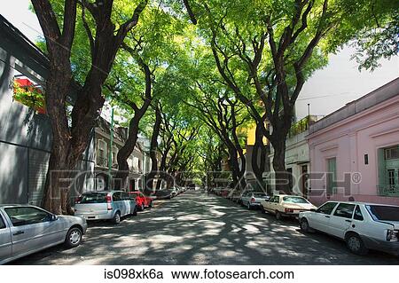 Street in Palermo Viejo, Buenos Aires, Argentina View Large Photo Image Stock Image - Street in Palermo Viejo, Buenos Aires, Argentina. Fotosearch