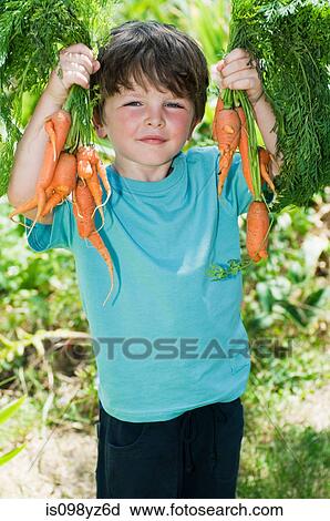 Stock Image - Boy holding bunch of homegrown carrots, portrait. Fotosearch