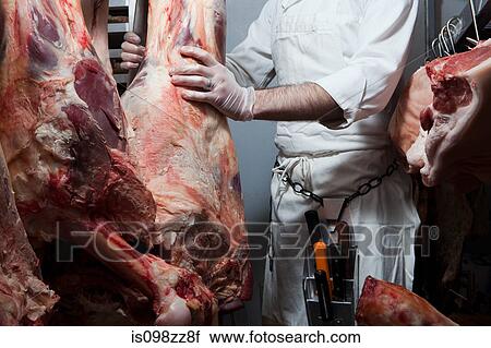 Stock Image - Butcher hanging beef. Fotosearch