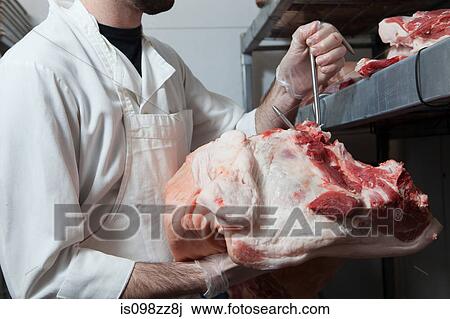 Butcher hanging cow head View Large Photo Image Stock Image - Butcher hanging cow head. Fotosearch