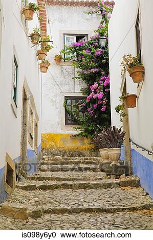 Arquivos de Fotografia - casas, em, obidos, portugal. Fotosearch - Busca de Fotos, Imagens, Murais de Parede e Clipart