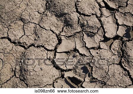Cracked earth View Large Photo Image Stock Photograph - Cracked earth. Fotosearch