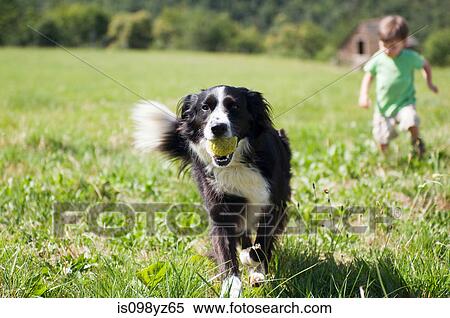 Stock Photography - Dog and boy running in field. Fotosearch