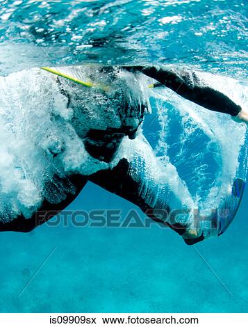 Stock Photo - Giant stride entry into water. Fotosearch