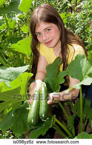 Girl holding cucumbers View Large Photo Image Stock Photo - Girl holding cucumbers. Fotosearch