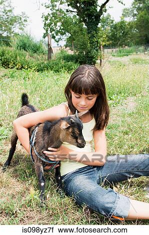 Girl with goat kid in field View Large Photo Image Stock Image - Girl with goat kid in field. Fotosearch