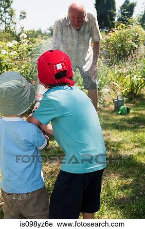 Stock Image - Grandsons spraying grandfather with hosepipe. Fotosearch