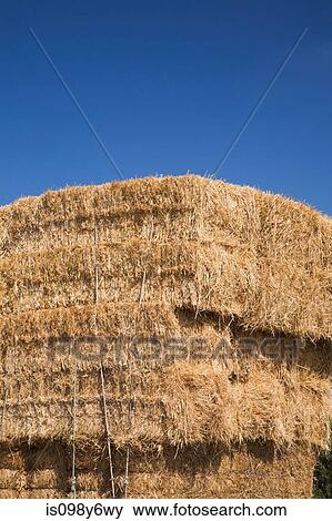 Stock Photo - Hay stacks and blue sky. Fotosearch