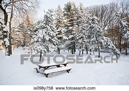 Stock Photo - Park in winter. Fotosearch