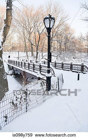 Park in winter View Large Photo Image Stock Photo - Park in winter. Fotosearch