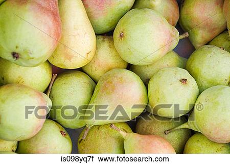 Stock Image - Pears. Fotosearch