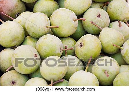 Pears View Large Photo Image Stock Image - Pears. Fotosearch
