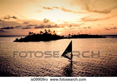 Picture - Sailboard at sunset. Fotosearch