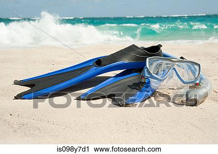 Snorkelling equipment at water's edge, Mustique, Grenadine Islands View Large Photo Image Stock Image - Snorkelling equipment at water's edge, Mustique, Grenadine Islands. Fotosearch