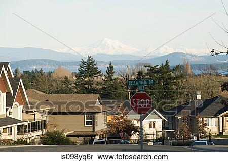 Stock Photography - Suburban street and view of mountains, Victoria, British Columbia. Fotosearch