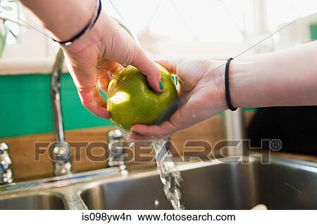 Teenage girl washing apple in kitchen sink View Large Photo Image Picture - Teenage girl washing apple in kitchen sink. Fotosearch