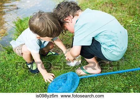 Picture - Two boys with fishing net. Fotosearch