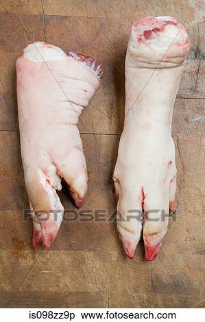 Two pig's trotters View Large Photo Image Stock Photography - Two pig's trotters. Fotosearch