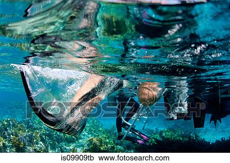 Underwater view of giant stride View Large Photo Image Stock Image - Underwater view of giant stride. Fotosearch