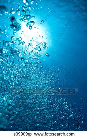 Underwater view View Large Photo Image Stock Photography - Underwater view. Fotosearch