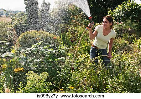 Stock Photo - Woman spraying garden with hosepipe. Fotosearch