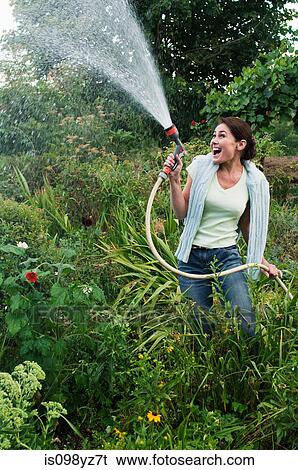 Woman spraying garden with hosepipe View Large Photo Image Stock Photograph - Woman spraying garden with hosepipe. Fotosearch