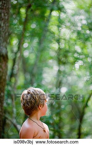 Boy in forest, looking away View Large Photo Image Stock Image - Boy in forest, looking away. Fotosearch