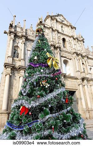 Christmas tree, Ruins of St Pauls, Macau, China View Large Photo Image Picture - Christmas tree, Ruins of St Pauls, Macau, China. Fotosearch
